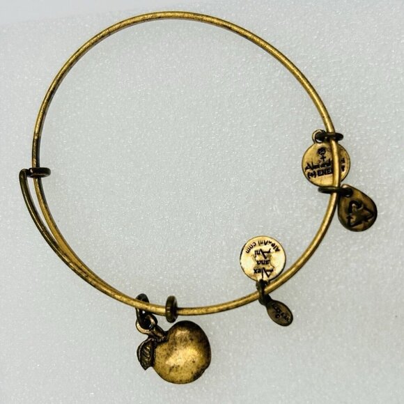 Set of 4 Alex & Ani Bangle Bracelets Goldtone Energy Dragonfly Apple Anchor - Picture 5 of 5